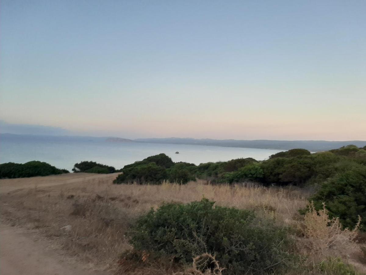 Appartamento Residence Mirice Vignola Mare Aglientu Casa Giorgia Eksteriør billede